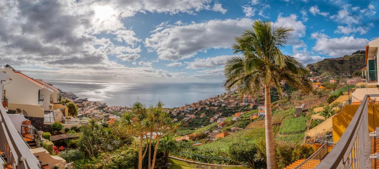 Palm Tree House By Amazing Madeira Villa Câmara de Lobos Kültér fotó