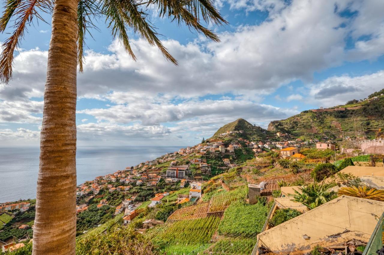 Palm Tree House By Amazing Madeira Villa Câmara de Lobos Kültér fotó